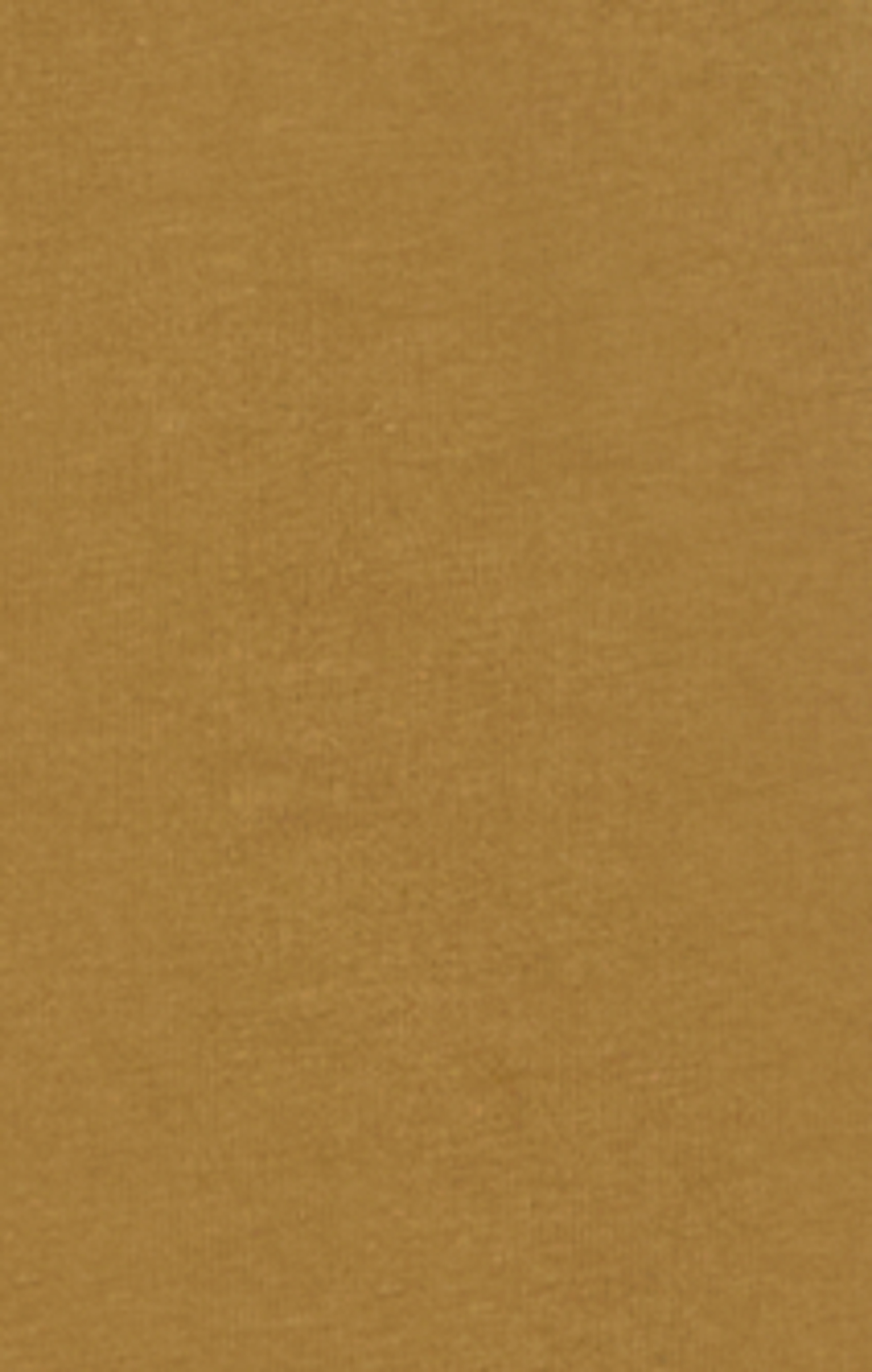 Stencil Butternut - Beige