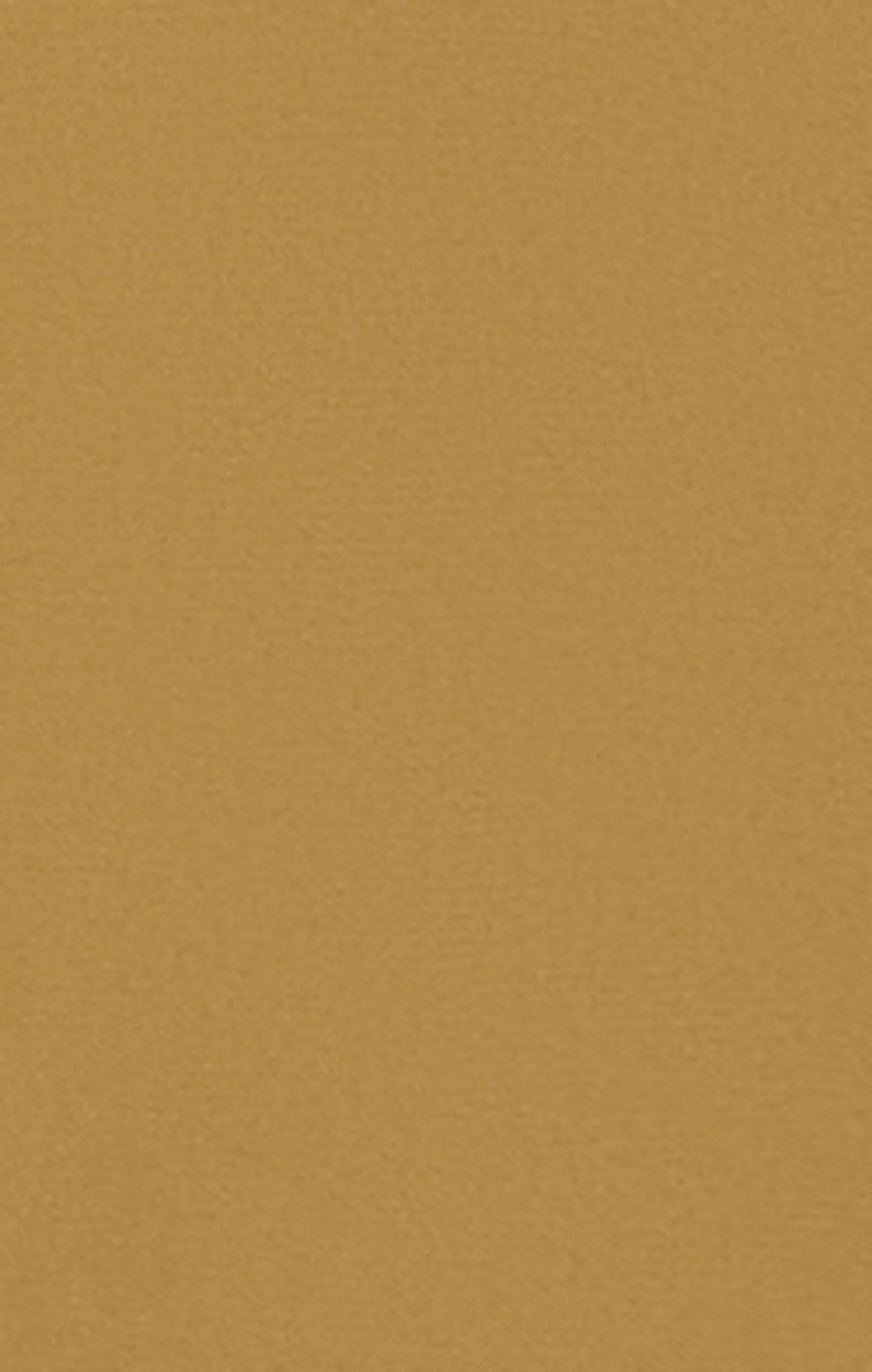 Butternut - Beige