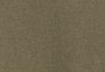Color swatch of Fan Camo