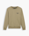 View of model wearing Lemon Pepper Crewneck Sweatshirt,  Regular Fit.